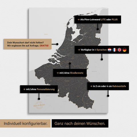Benelux Push Pin Map TRAVEL® – Light Gray