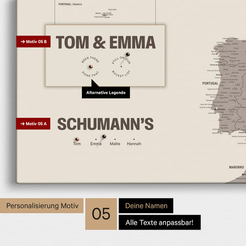 Europe map in a modern design in Warmgray (brown-gray) as a Push Pin Map with personalization as a logo with a globe