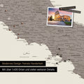 Italy map in warm gray (brown-gray) as canvas for pinning shows a section of Rome, Abruzzo, and Campania with many details such as national parks, rivers, and numerous small places and towns, some of which are marked with pins