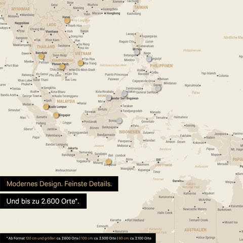 Section of a magnetic world map in gold showing a map of Asia, with magnets marking travel destinations