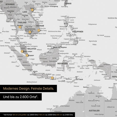 Section of a magnetic world map in multicolor gray showing a map of Asia, with magnets marking travel destinations